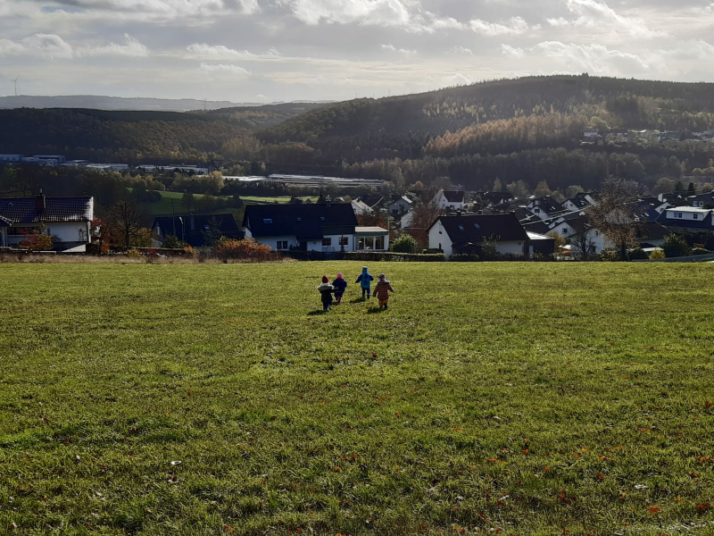 Unterwegs auf einer Wiese